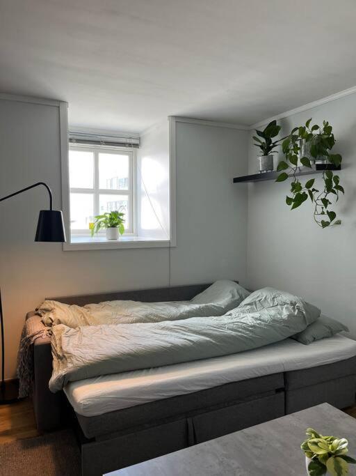 Cozy Ground Floor Apartment Tromsø Exteriör bild