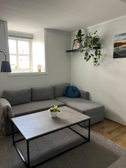 Cozy Ground Floor Apartment Tromsø Exteriör bild